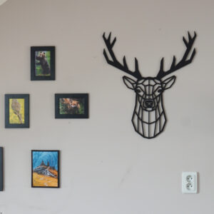 dekorace na zeď jelen hlava cestování wildlife
